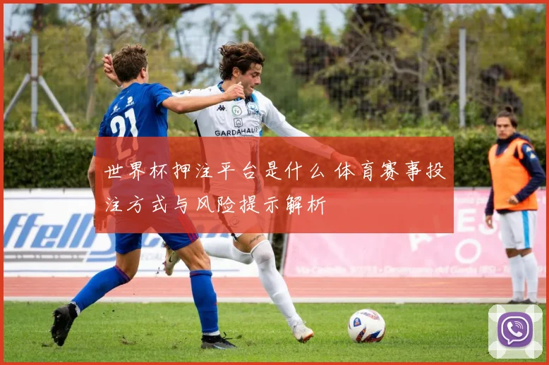 世界杯押注平台是什么 体育赛事投注方式与风险提示解析