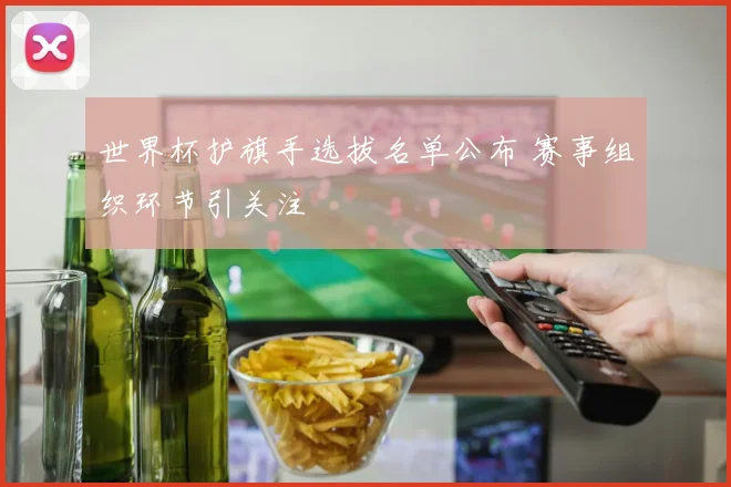 世界杯护旗手选拔名单公布 赛事组织环节引关注