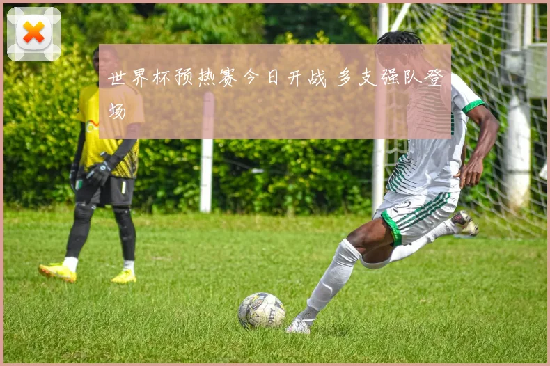 世界杯预热赛今日开战 多支强队登场
