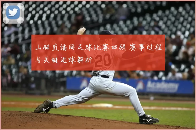 山猫直播间足球比赛回顾 赛事过程与关键进球解析