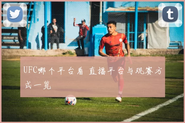UFC哪个平台看 直播平台与观赛方式一览