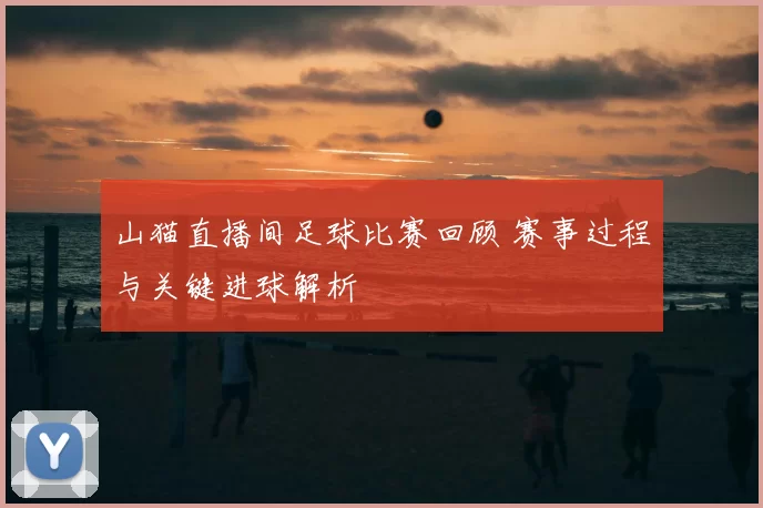 山猫直播间足球比赛回顾 赛事过程与关键进球解析