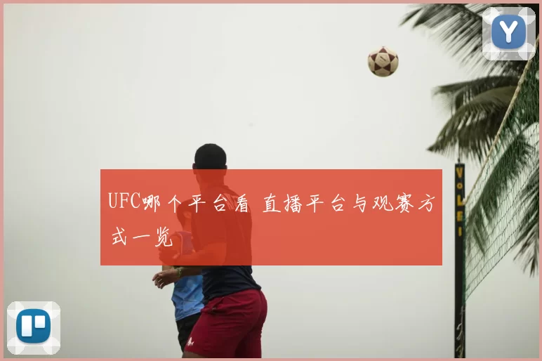 UFC哪个平台看 直播平台与观赛方式一览